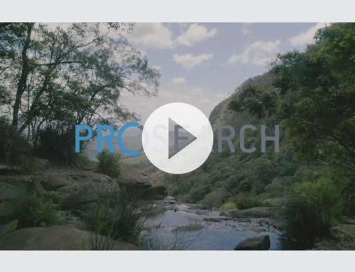 ProSearch: Love What You Discover